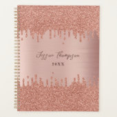 Blush roze roze gouden glitterschijven planner (Voorkant)