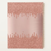Blush roze roze gouden glitterschijven planner (Achterkant)