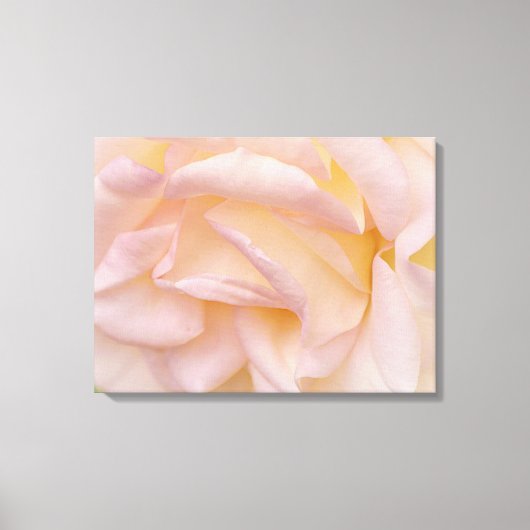 Blush Roze Roze Petals Bloemenkunst Canvas Afdruk (Voorkant)