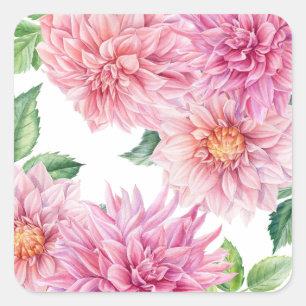 Blush Roze Waterverf Dahlia Bloemen Patroon Vierkante Sticker