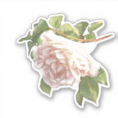 Blushing Ivoor roze perzik Roos Sticker (Voorkant)