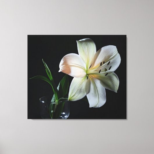Blushing White Lily Wrapped Canvas Print (Voorkant)