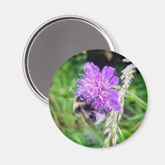 Blütenkraft – Runder Magnet mit Hummelmotiv Magneet (Voorkant / Achterkant)