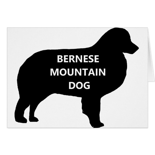 BMD naam silhouette.png (Voorkant Horizontaal)