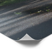 BMW M3 E90 in de Mist Poster (Hoek)