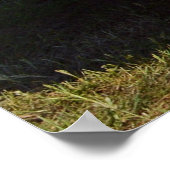 BMW-POSTER POSTER (Hoek)