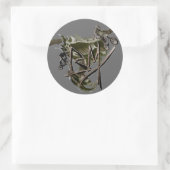 BMX racing sticker 1 (Tas)