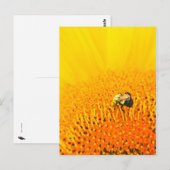 BNo2: Bijenachtig nummer 2 Briefkaart (Voorkant / Achterkant)