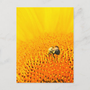 BNo2: Bijenachtig nummer 2 Briefkaart