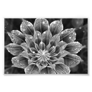 BnW Fractal Dahlia Flower via Electron Microscope Foto Afdruk