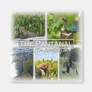 BO0024 Amerika, Zuid-Amerika, Bolivia, Koelkast Magneet