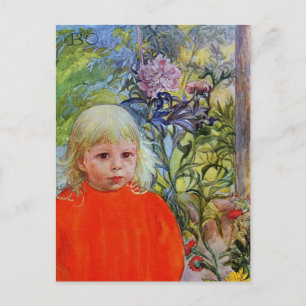 Bo in roze volken briefkaart