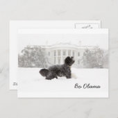 Bo Obama Briefkaart (Voorkant / Achterkant)