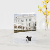 Bo Obama Note Card - Rose Garden Kaart (Gele Bloem)