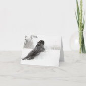 Bo Obama Note Kaart - Zuid - Motivering (Voorkant)