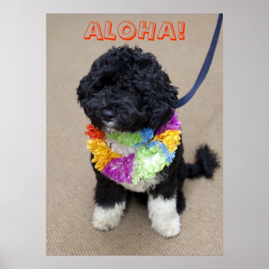 Bo Obama - Poster Aloha (Voorkant)