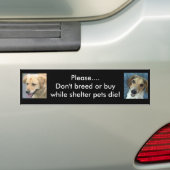 Bo & Stan bumper sticker (Op auto)