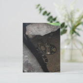 Boa Constrictor # 1 Briefkaart (Staand voorkant)