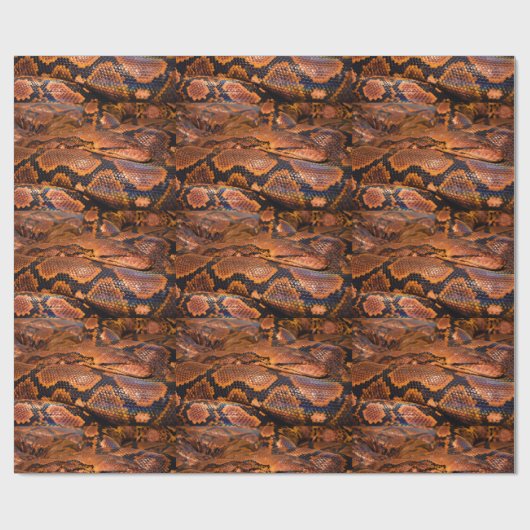 Boa Constrictor Cadeaupapier (Vlak)