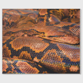 Boa Constrictor Cadeaupapier (Vlak)