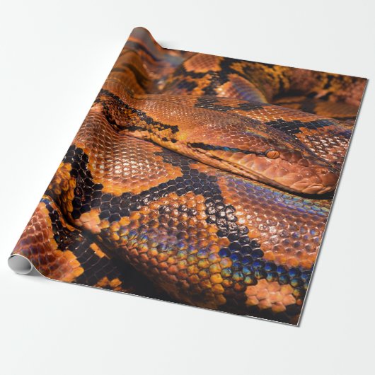 Boa Constrictor Cadeaupapier (Uitgerold)
