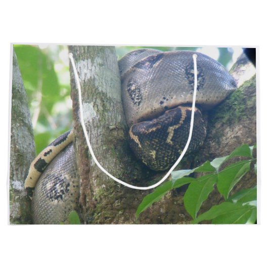 Boa Constrictor Cadeautas (Achterkant)
