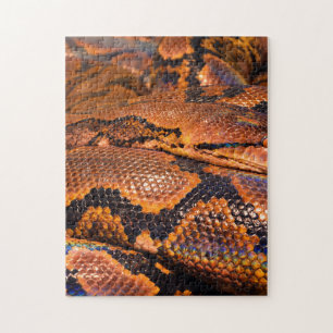 Boa Constrictor Legpuzzel