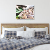 Boa constrictor reptile canvas afdruk (Insitu (Slaapkamer))