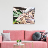 Boa constrictor reptile canvas afdruk (Insitu (Woonkamer))