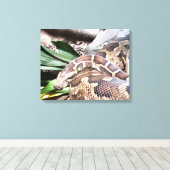 Boa constrictor reptile canvas afdruk (Insitu (Houten vloer))
