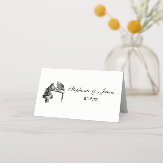 Board Games: twee katten die een Chess Match spele (Voorkant)