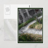 Board Walk Briefkaart (Voorkant / Achterkant)