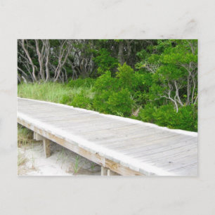 Boardwalk in Davis Park Briefkaart