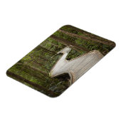 Boardwalk naar Nelson Herfsten, Franklin - Gordon Magneet (Linkerzijde)