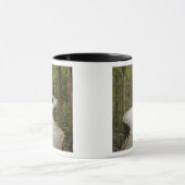 Boardwalk naar Nelson Herfsten, Franklin - Gordon Mok (Midden)