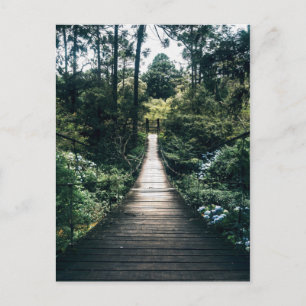 Boardwalk through door het bos briefkaart