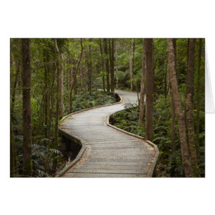 Boardwalk to Nelson Falls, Franklin - Gordon