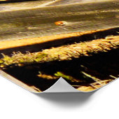 Boardwalk To The Beach, Poster (Coin)