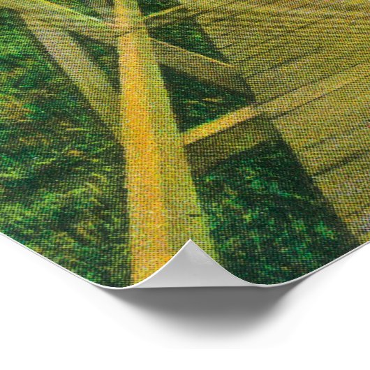 Boardwalk-Uitzicht bij Presidio Poster (Hoek)