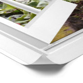 Boardwalk-waterval nep-raam uitzicht poster (Hoek)