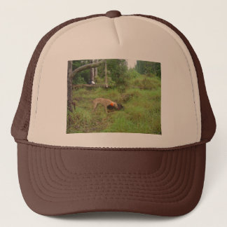 Boarjacht Trucker Pet