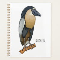 Boat-billed heron bird cartoon