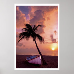 Boat onder palm op strand bij zonsondergang poster
