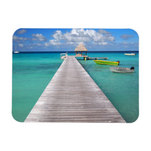 Boats bij een steiger in de Pacifische rechthoekma Magneet