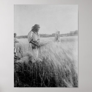 Boaz in Bethlehem Poster