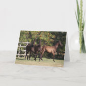 Bob Langrish | 3 Andalucian Youngsters Standing Kaart (Voorkant)