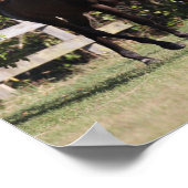 Bob Langrish | 3 Jongeren uit Andalusië Poster (Hoek)