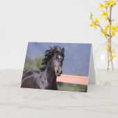 Bob Langrish | Achterste Andalusiaans hoofdschot Kaart (Gele Bloem)