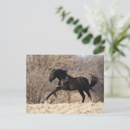 Bob Langrish | Andalucian Running Briefkaart (Staand voorkant)