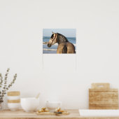 Bob Langrish | Andalucian Stallion Headshot Zee Poster (Keuken)